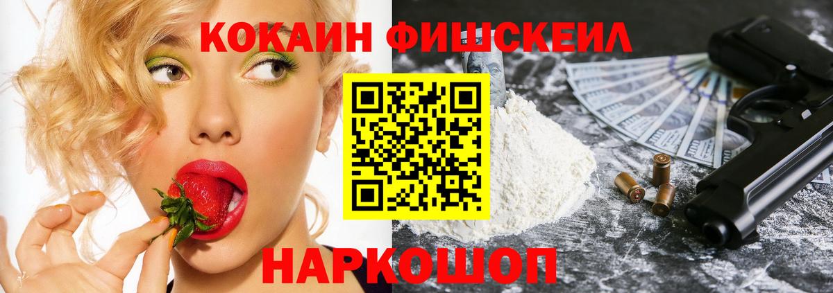 Cocaine FishScale Заводоуковск