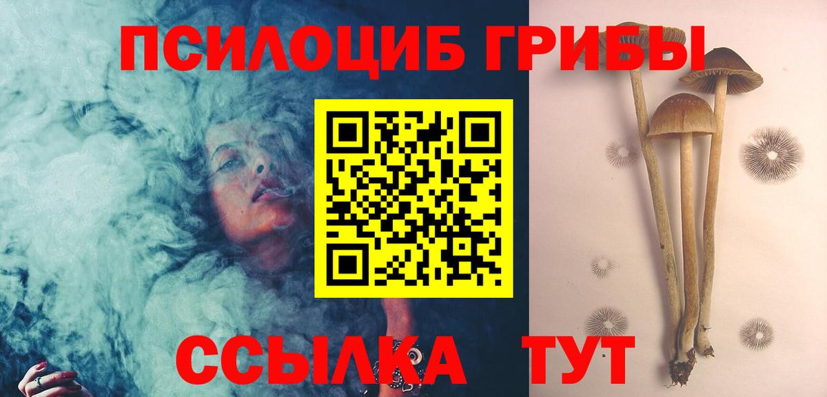 Заводоуковск  Псилоцибиновые грибы прущие грибы  Галлюциногенные грибы MAGIC MUSHROOMS  Вход с VPN 